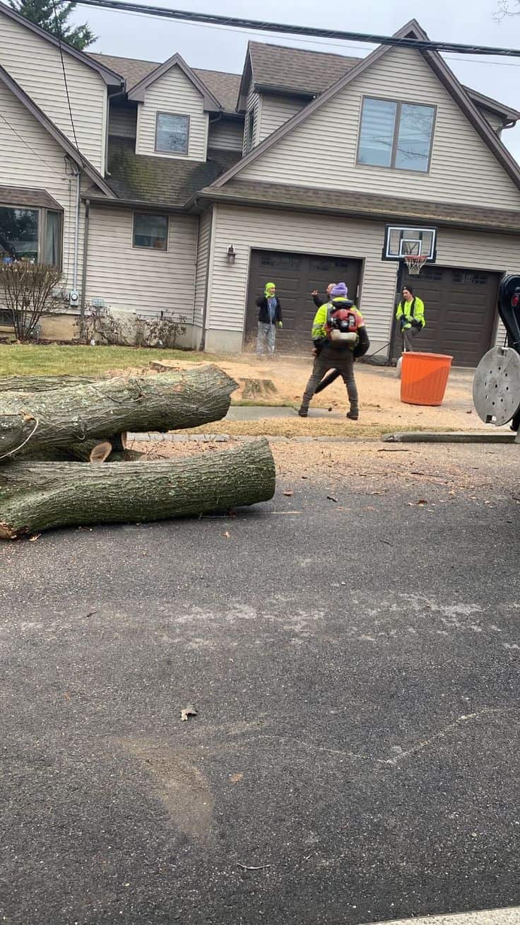 Chris Amschler — owner of Chris Amschler Tree Service and Landscaping